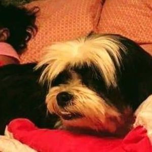 Meet your Posher, Traci